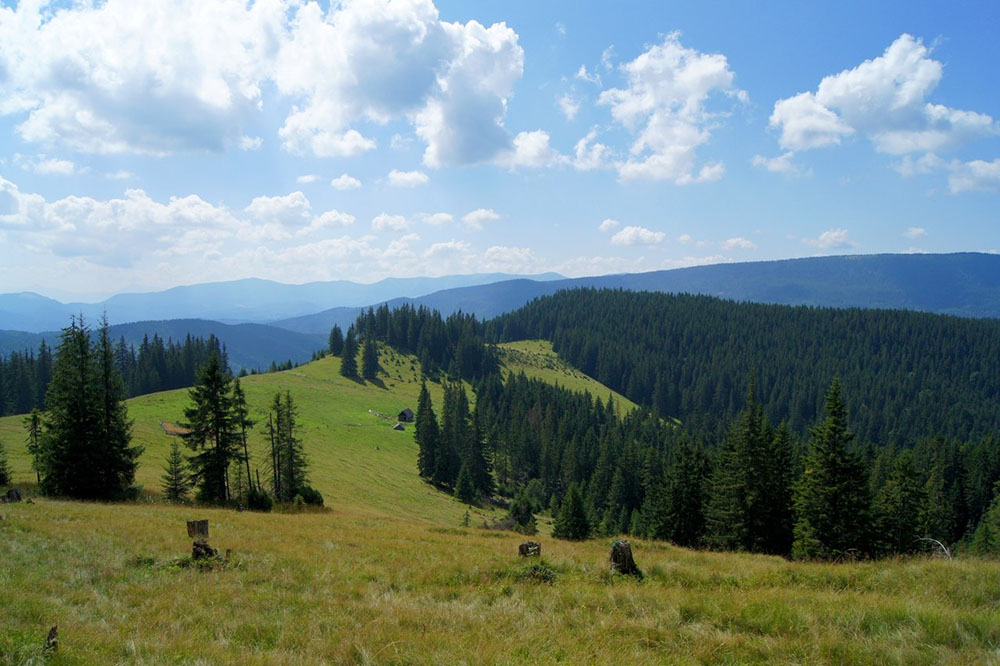 Негрова